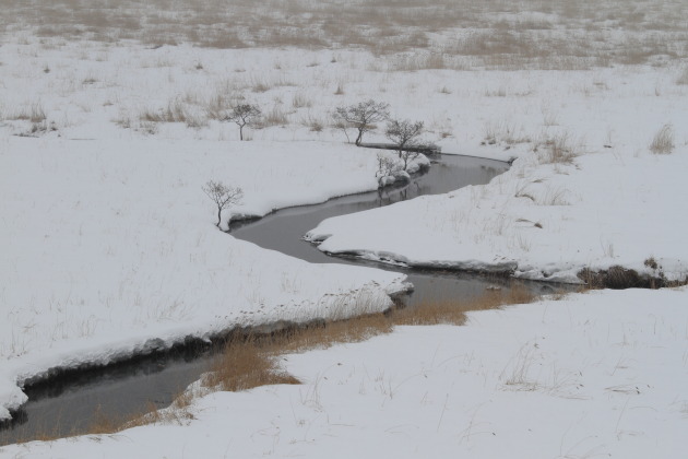 川も開いてきた釧路湿原
